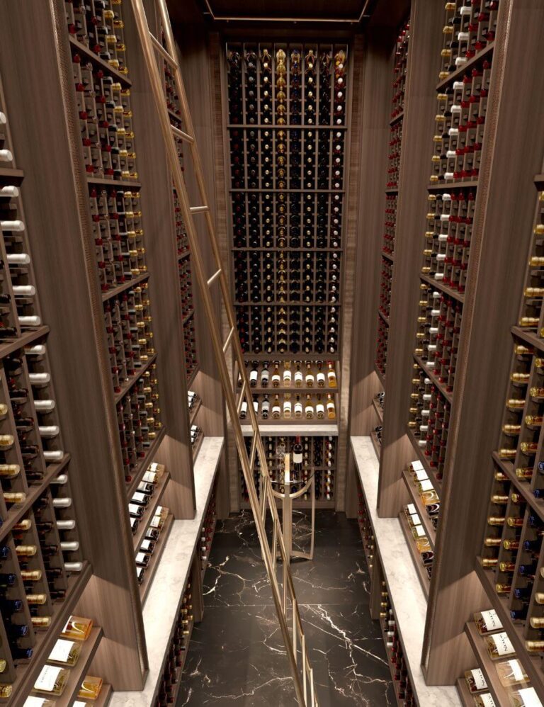 wine cellar with metal ladder - Genuwine Cellar design
